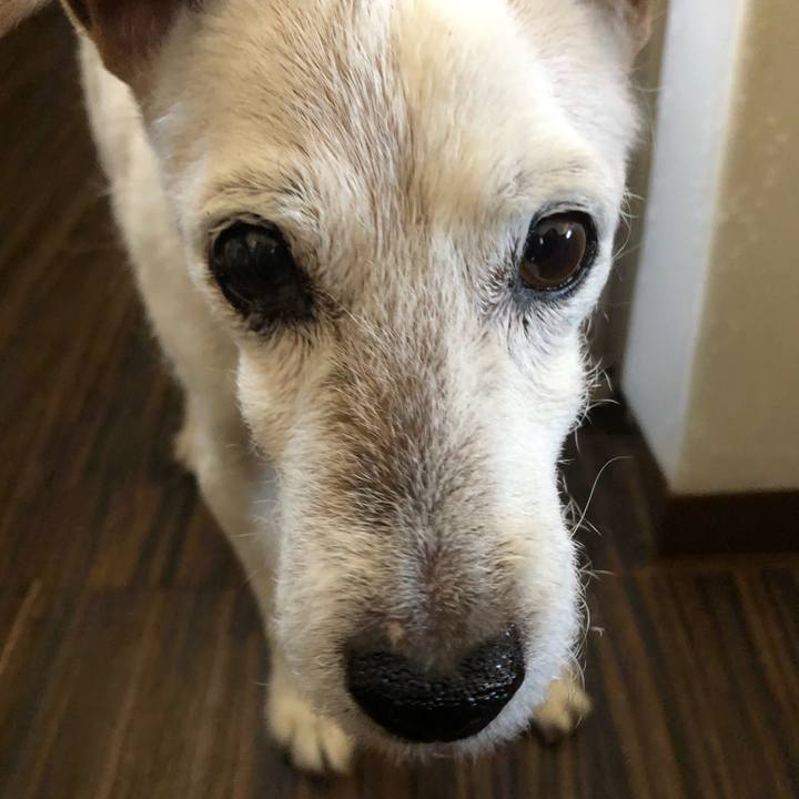 80b64b91 ba80 464f 8798 b82a18572963 1660035571680