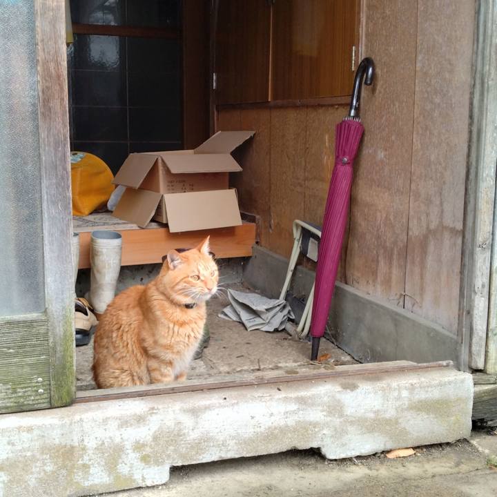 80b67936 64a7 4497 acd0 d77969e1b14c 1668998755516