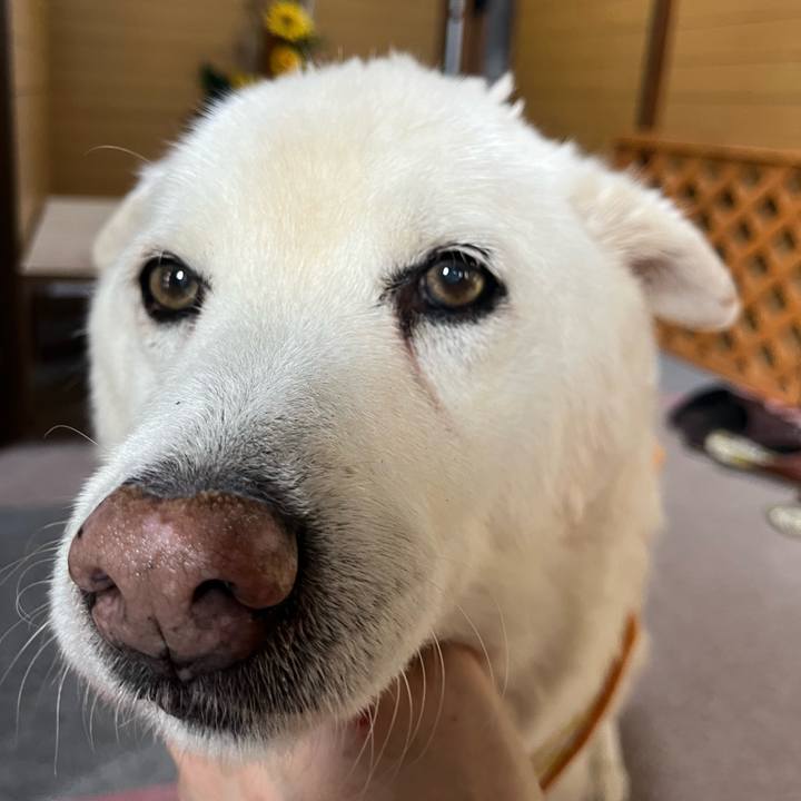 80b6a4e9 7478 4d94 95fe 7cfacac95910 1766883631531