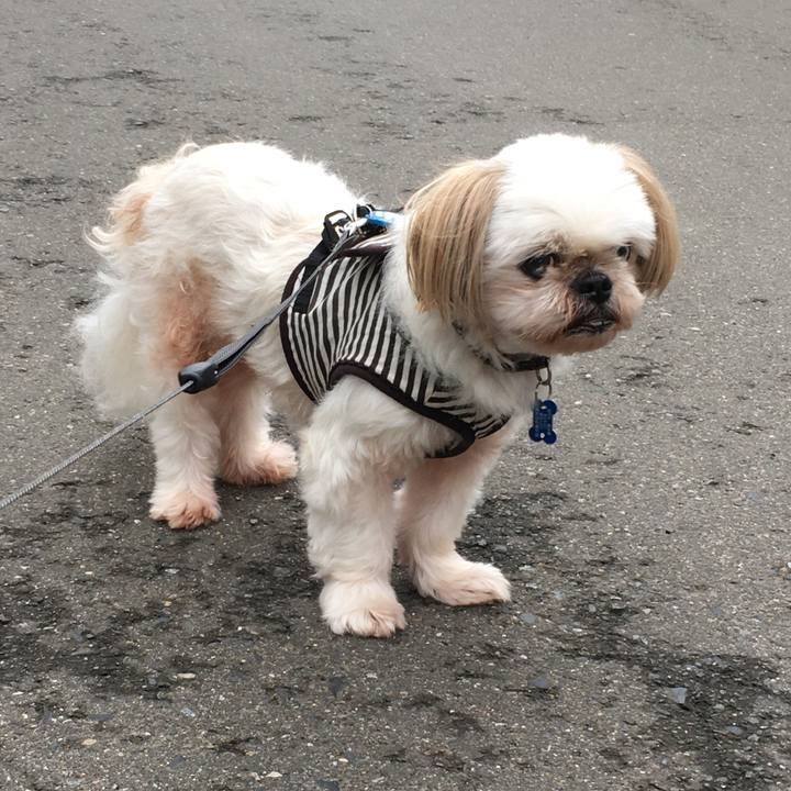 80b6c456 0d0b 42e0 823e 725474a3a918 1631947980505