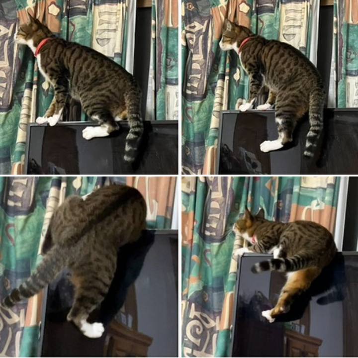 80b6f617 f178 400b a870 f35415a45705 1719746546336