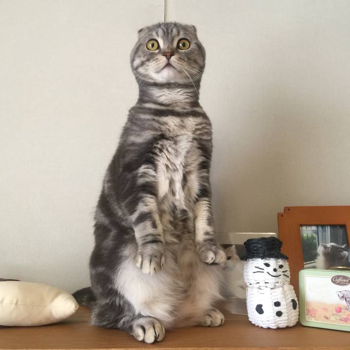 80b7274b 7104 44cb 9786 c0b7bdcd9533 1609248443252