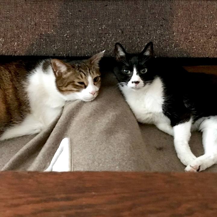 80b742d3 63dd 4311 953f 89f7ffd155c2 1549508127895