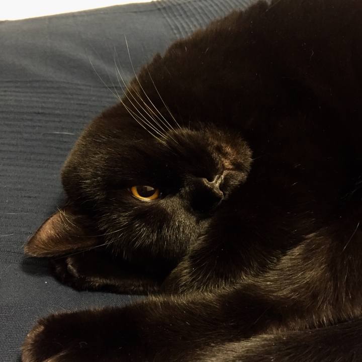 80b7531d 8ffe 4be0 8ba3 13c6e9a33010 1573997460482