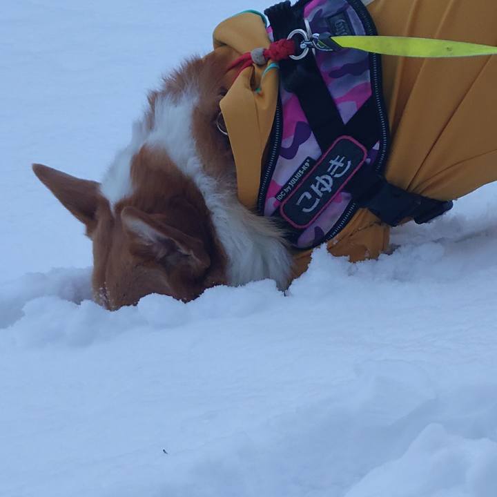 80b756c3 d293 48a8 aa76 78c3eb865622 1764890937962