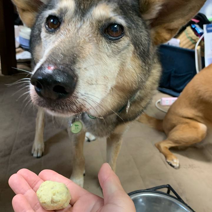 80b76169 f467 4b7d a88f ba35650ba807 1571551228776