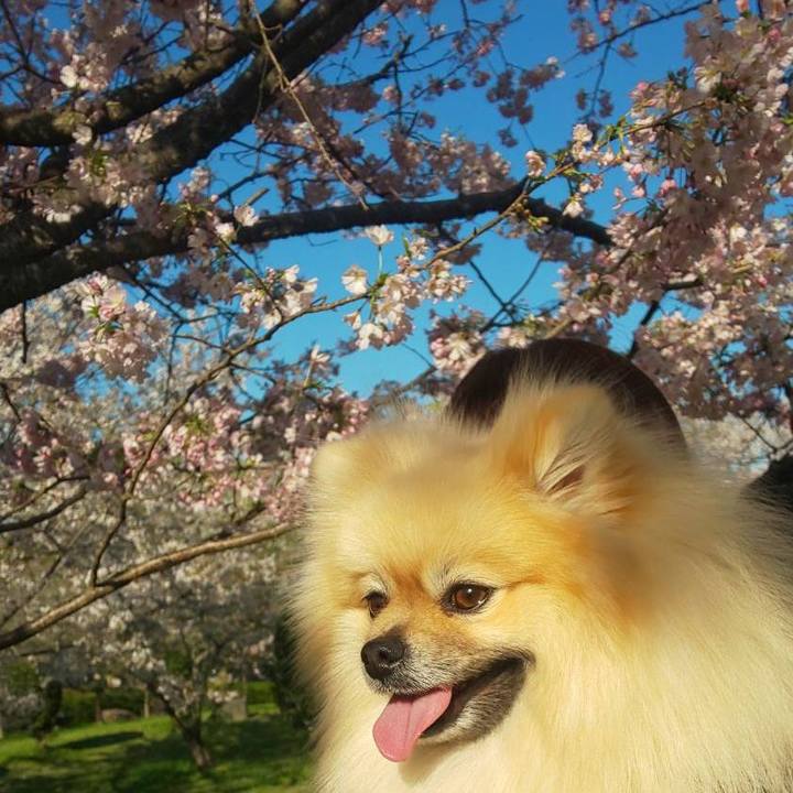 80b788cf 29dc 4860 a286 a13c5ccfde4b 1712753391077