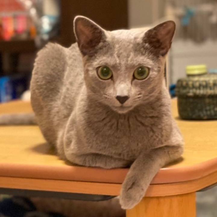 80b7c51a 67ff 4581 af0b ada393b547de 1629414011207