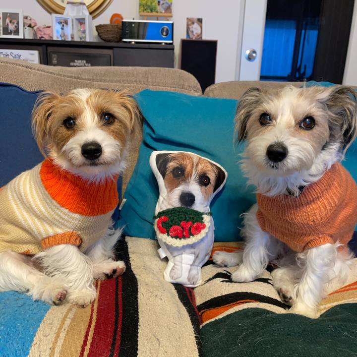 80b7cb53 4d58 427b 9e65 007907e44a70 1765696822628