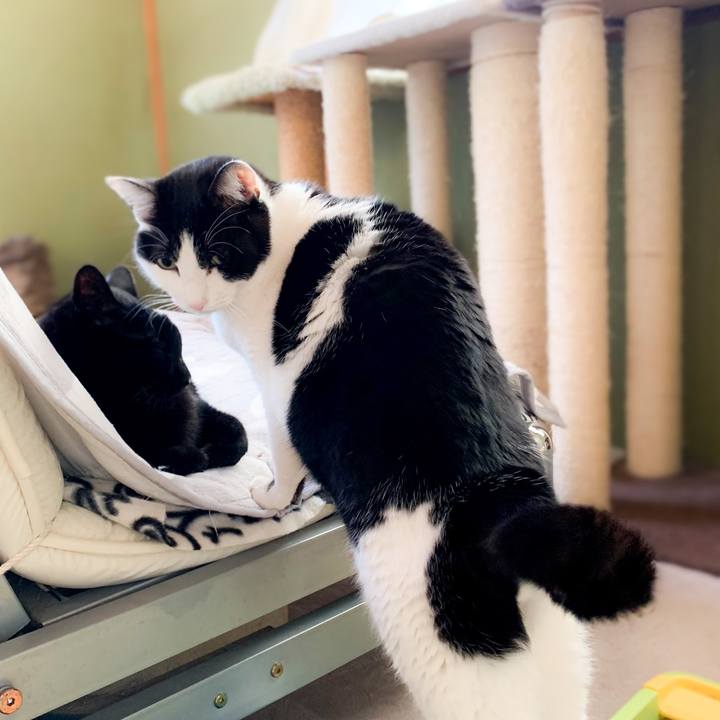 80b7de9e e070 49fa b72d 6c76c54b5f11 1583112467138