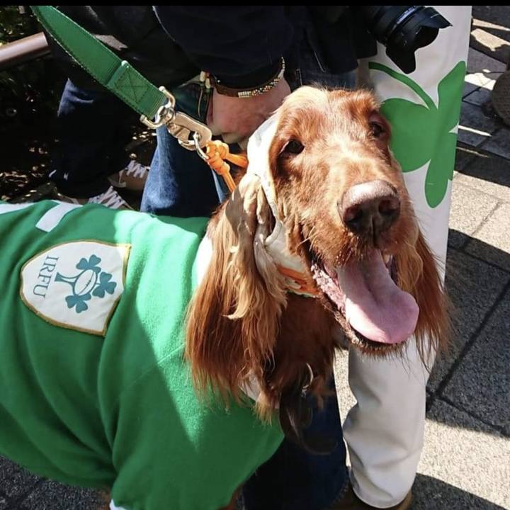 80b7e04c bcea 403a a29d 03ec75ceb390 1710666628651