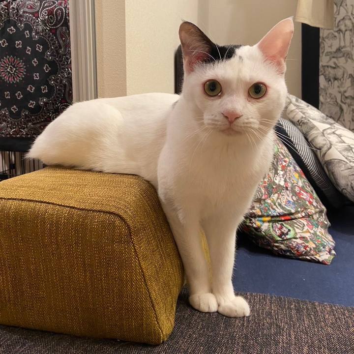 80b7e057 c14f 46ed aa3b fb38a2bcb767 1691537358665