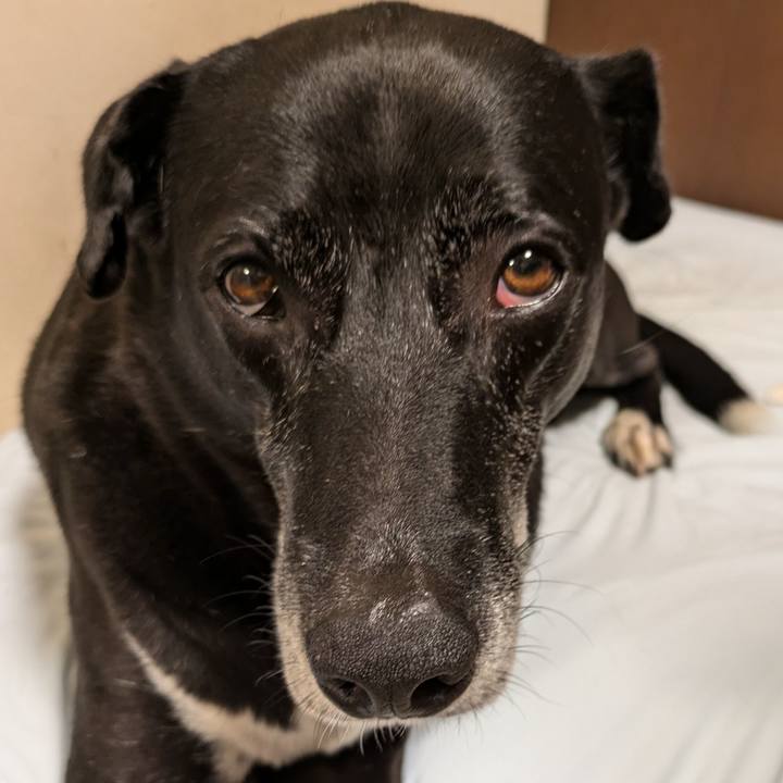 80b7eadf 9e4e 43e9 a457 91f1fbb5e015 1725878857973