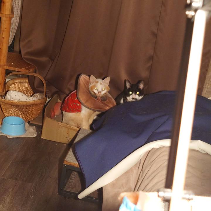 80b7ece5 d549 49fe b93d d59877396fc7 1767793017621