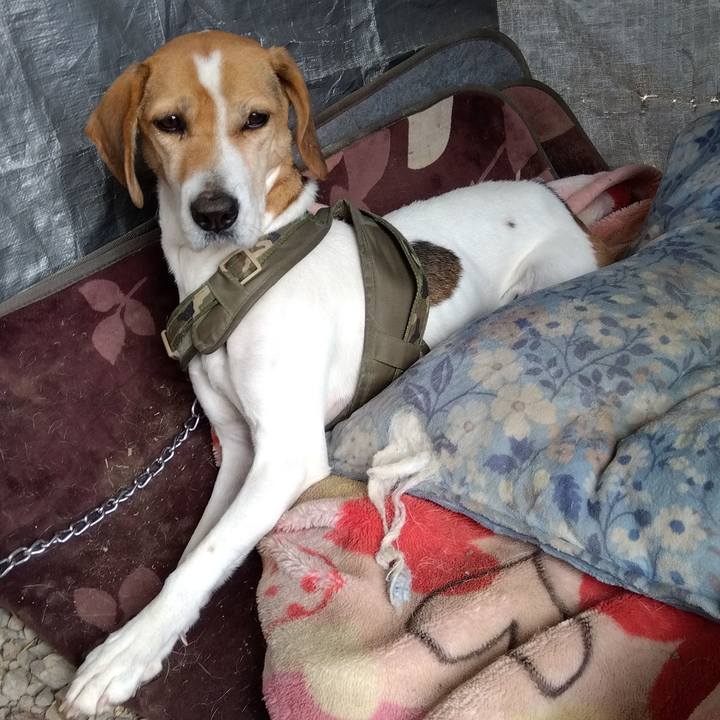 80b7fd2e 53e4 4854 a328 2c84ef7badf7 1674481425449