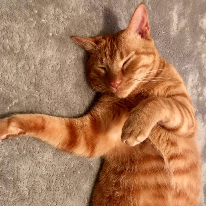 80b8321b d6d1 48dc adbf 6dd16ecbeb34 1608382069781