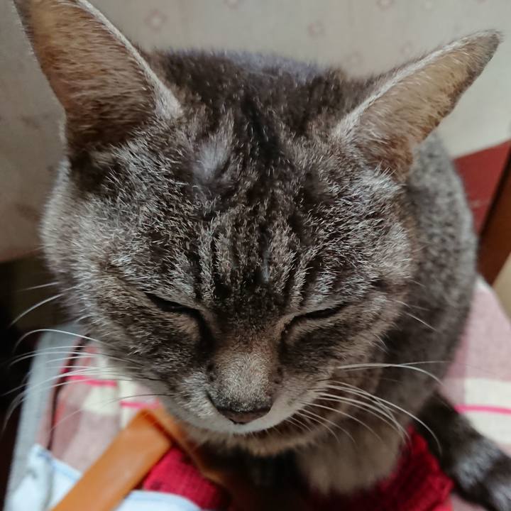 80b88de3 8d01 4ba4 8806 e0beac8ec655 1557088406853