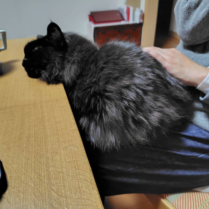 80b8b9ac 1a45 4dc2 b7f5 92167c412fb9 1736851615990