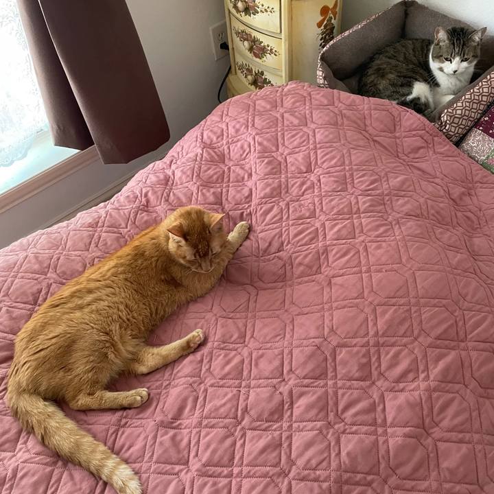 80b8e20f 920e 4235 b093 2f76f8fe7cf4 1694915414427