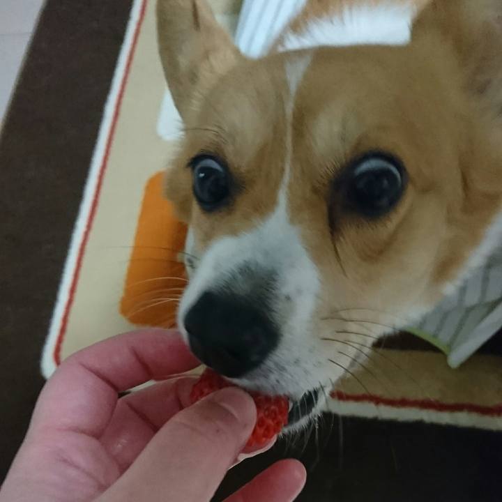 80b908d4 c718 4930 b7f8 b6cc3fbd167a 1518501216925