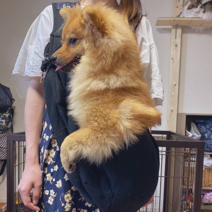 80b908ea 54f4 443e 9223 767c4dafd4a0 1591534665170