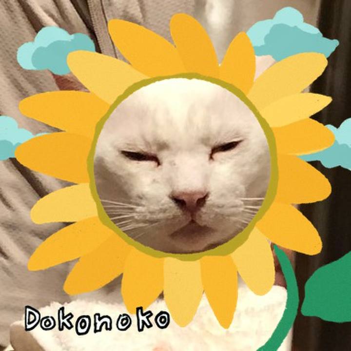 80b92aa4 d73f 4f39 9144 a2bb61e03e86 1723599795119