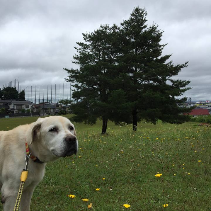 80b93f51 b209 4e68 8ee3 cf8beedfb546 1528773197548