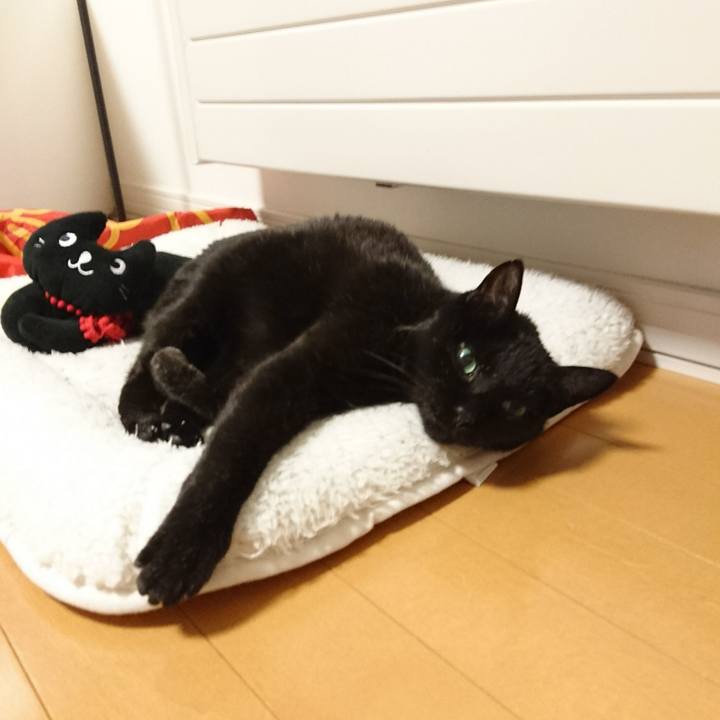 80b9a9dd b536 4b3d aabf 576284ae0e4c 1547621528947