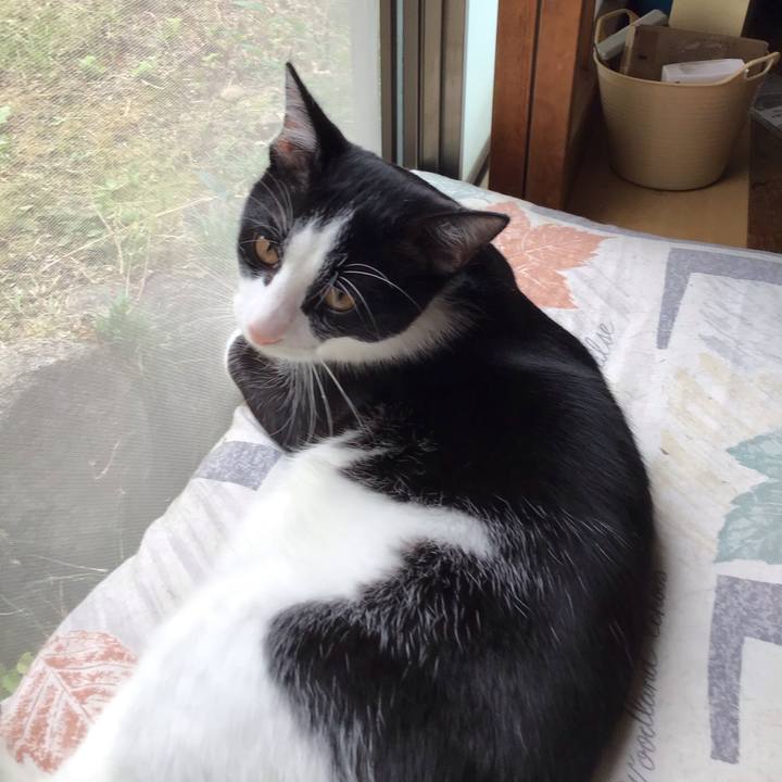 80b9b821 17a2 4234 a567 729d9036c8eb 1633845570400