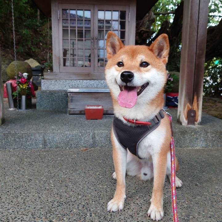 80b9d083 8d3e 4e39 af2b 858ad09ac38a 1758671649028