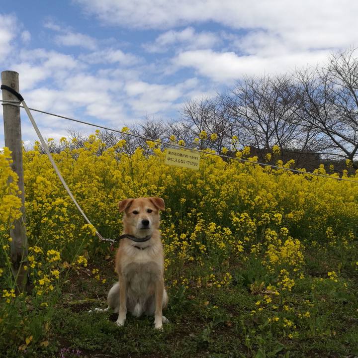 80b9ea58 c420 477c b920 8b44ada4b6e4 1521853509934