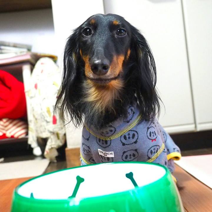 80ba2382 fff2 466d b62c 0653d2675368 1518310547396