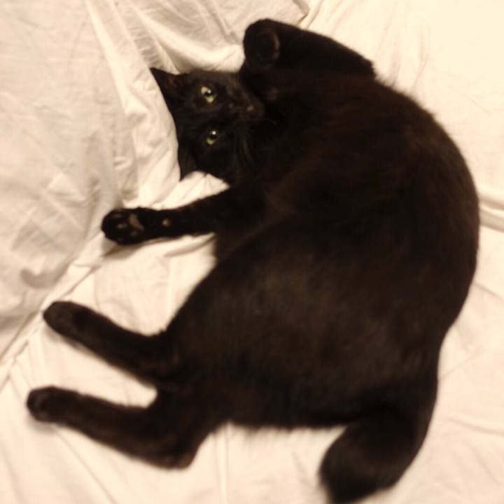 80ba345c 7381 45e2 a084 7f17cd8238c4 1525604259593