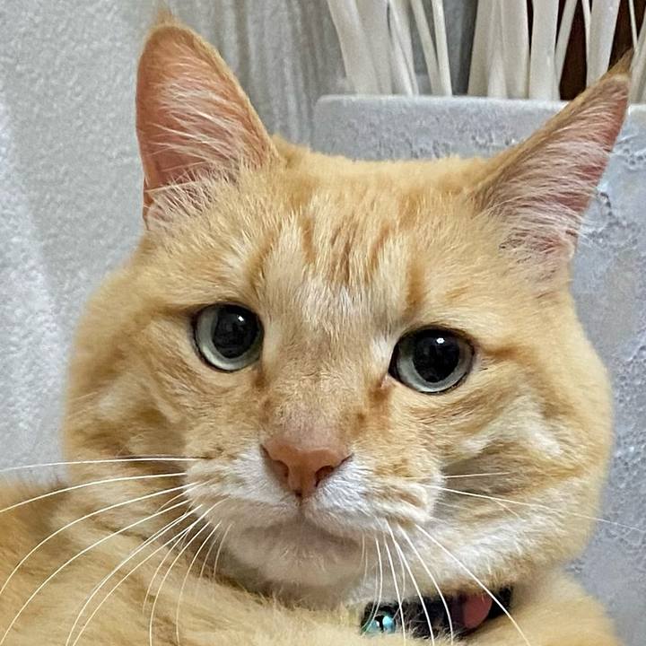 80ba3983 5b81 44a3 b756 24ab3bec3539 1688816069582