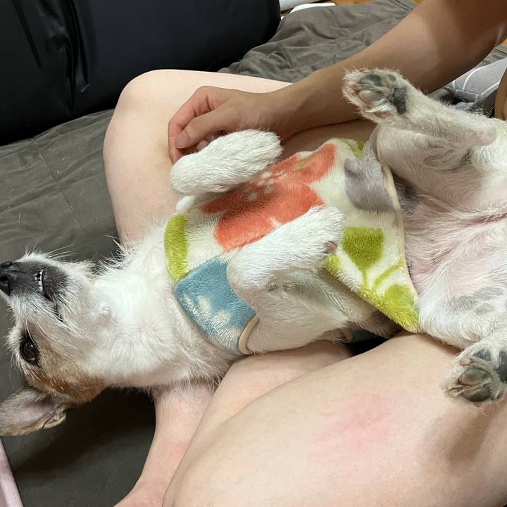 80ba39fb f5db 4221 b255 da428337d8a8 1700176756051