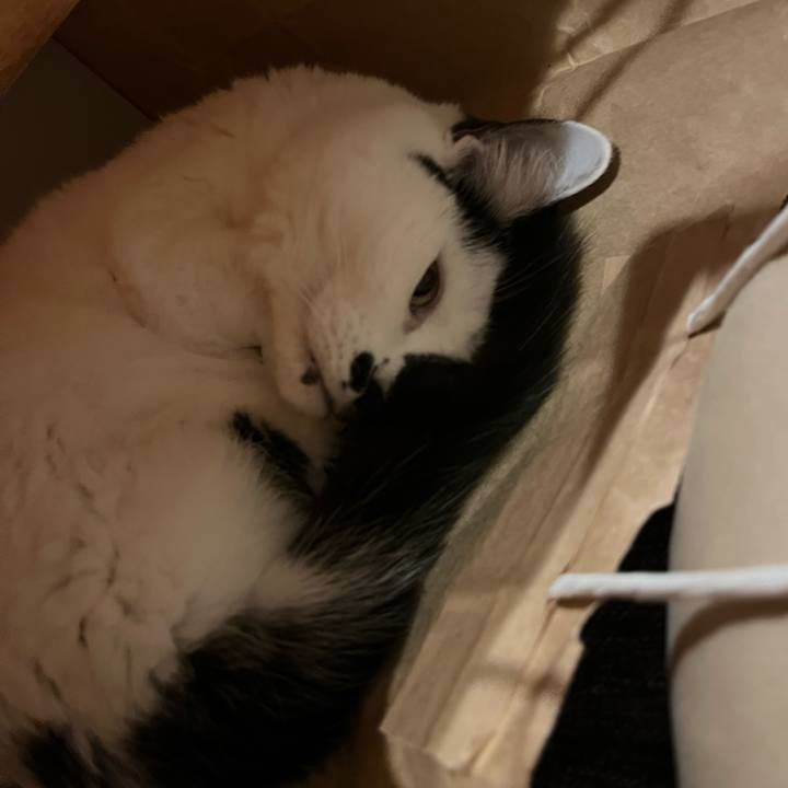 80ba4bfe 308a 426e b304 9caab417c93e 1764684909791