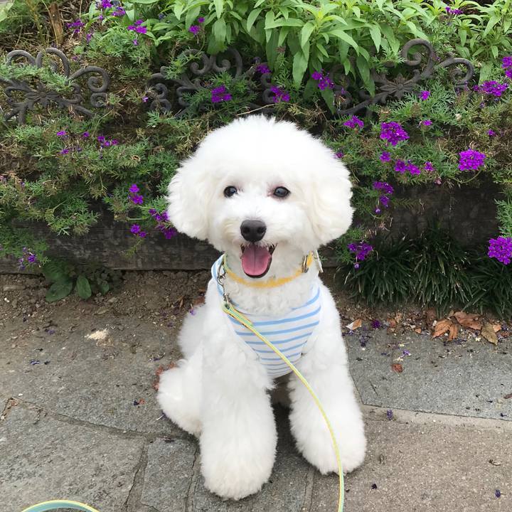 80ba4f82 6875 48e0 b301 57342454c2ac 1539932479406