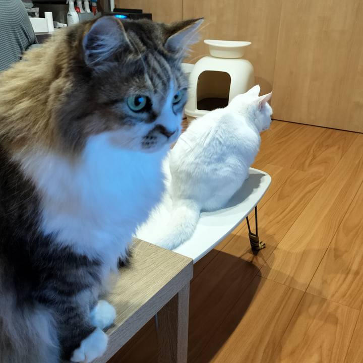 80ba5c78 bed3 4152 b853 ee8b31829731 1763185472268