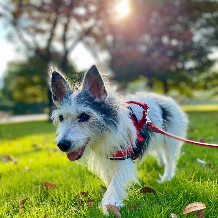 80ba6723 7dda 4a1f bbd4 301884fa120a 1633963462003