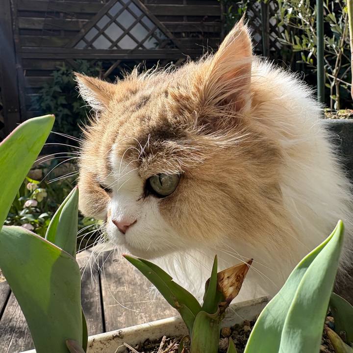 80ba6a1b 4215 422e 9a2e 13e35b2f5f23 1772846393764