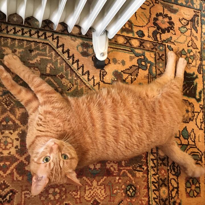 80ba935a 04d0 45ef 8c3b 4ed77f0faa93 1606755030043