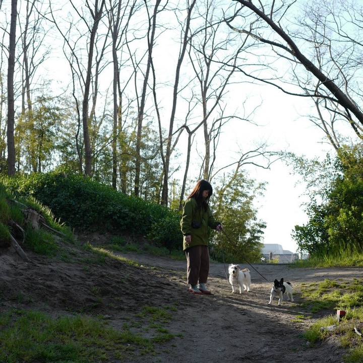 80baf141 fa94 48c3 82a3 3d29ad572960 1555732967958