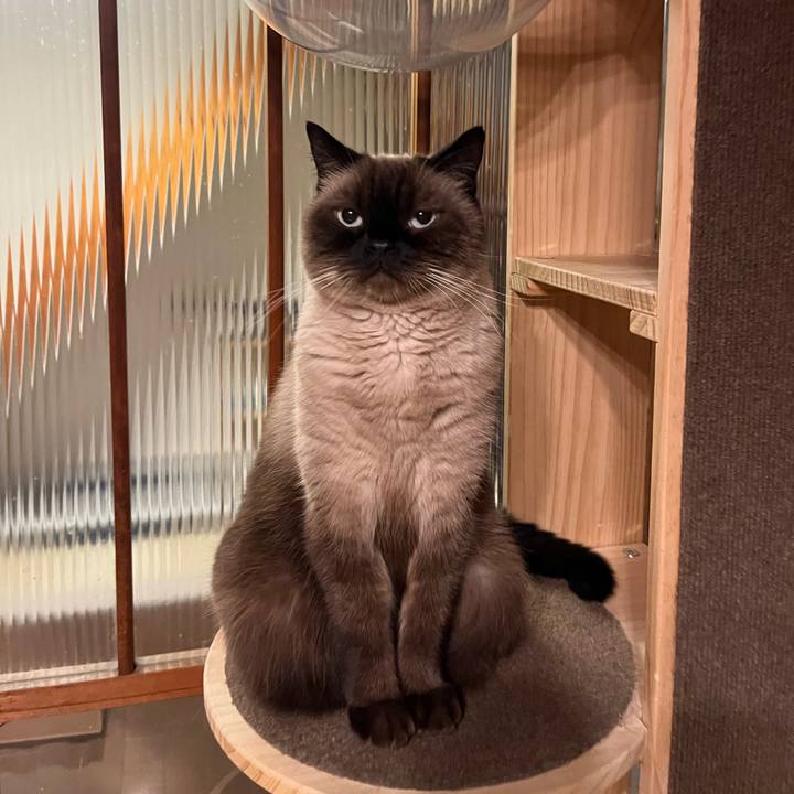 80bb0b27 b53f 494a 9463 185dc3199344 1759487054347