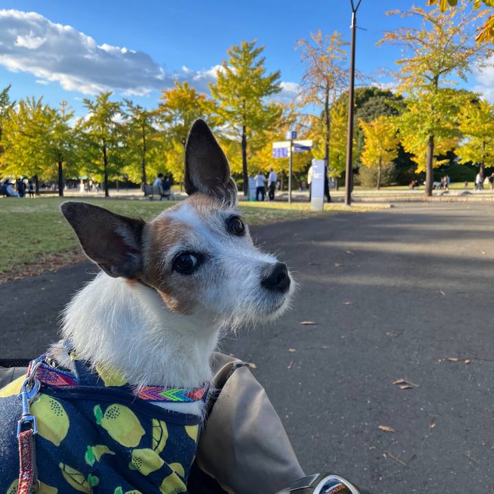 80bb4e88 8ebe 4382 bbc2 a9873b082429 1698622014397