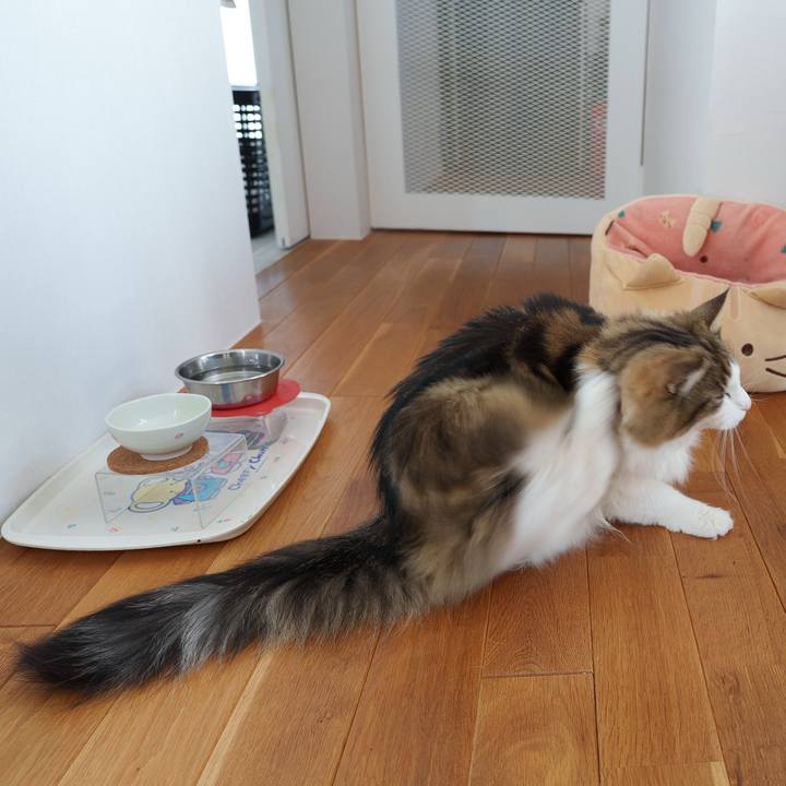 80bb504f 4fe2 49e3 af14 531e0493a84d 1744876500875