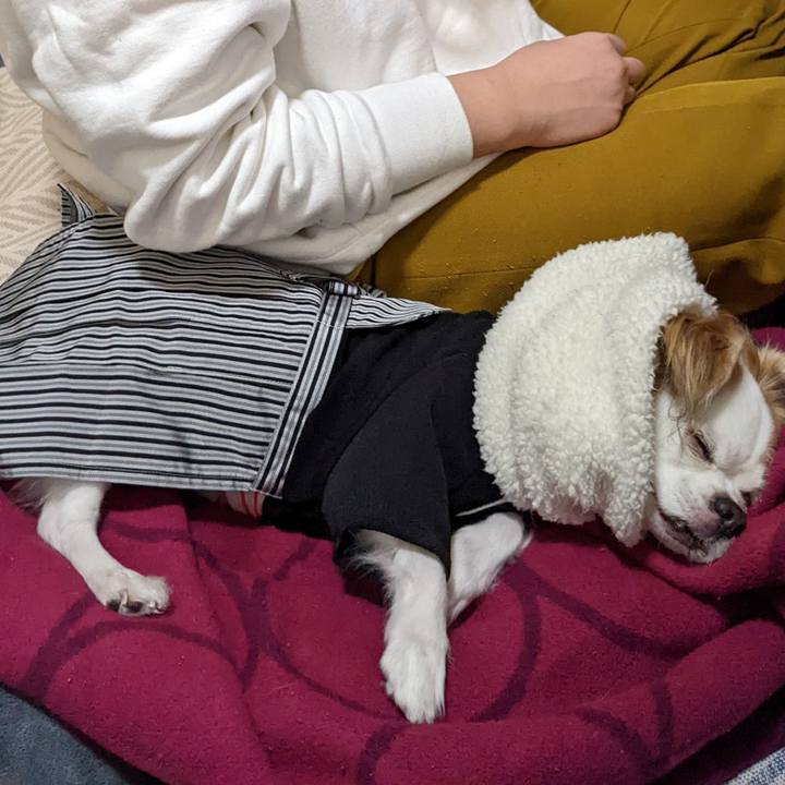 80bb8f3e dc9f 444a 9f09 64ff872f7f97 1641527200780