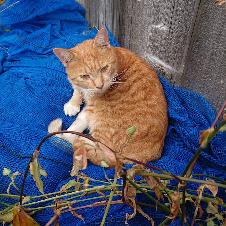 80bb9ada a69e 4ea1 b748 dd5056368fcc 1571026058485