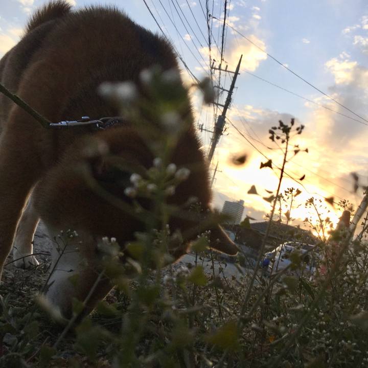 80bbb528 799b 4056 88d8 ef6d31b4d3fc 1613290891980