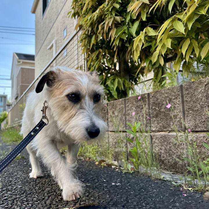 80bbe1c1 fdd7 41d4 afec c9f04ec7bac0 1747273242680