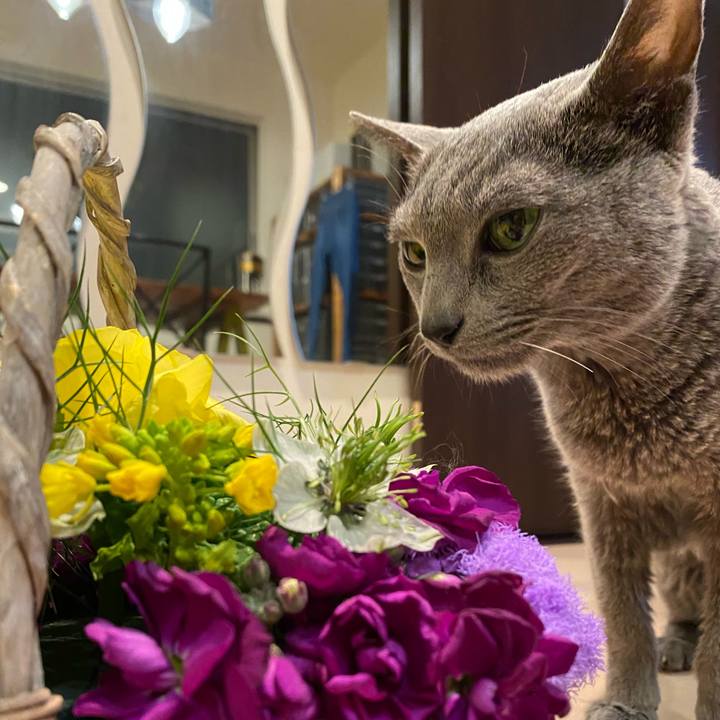 80bbe68f 5092 4fcc 9d9e 2d05083c53d0 1642896965860